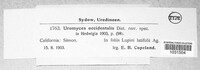Image Associated With the Occurence